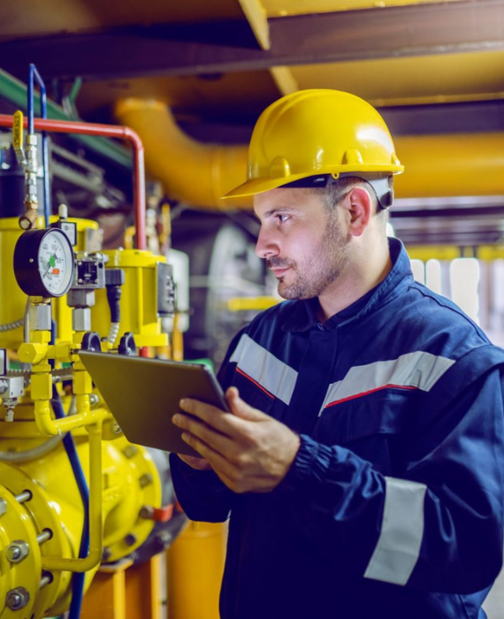 Our Inspection Process